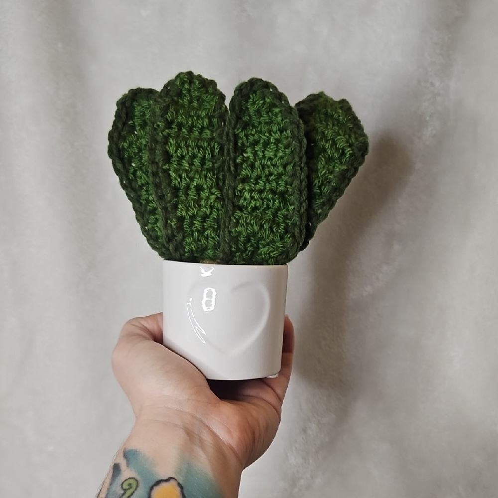 Crochet Snake Plant With Heart Planter - Picture 3 of 4